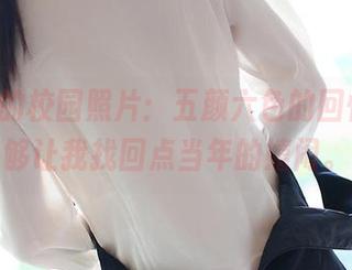ROSI的校园照片：五颜六色的回忆，足够让我找回点当年的嬉闹。